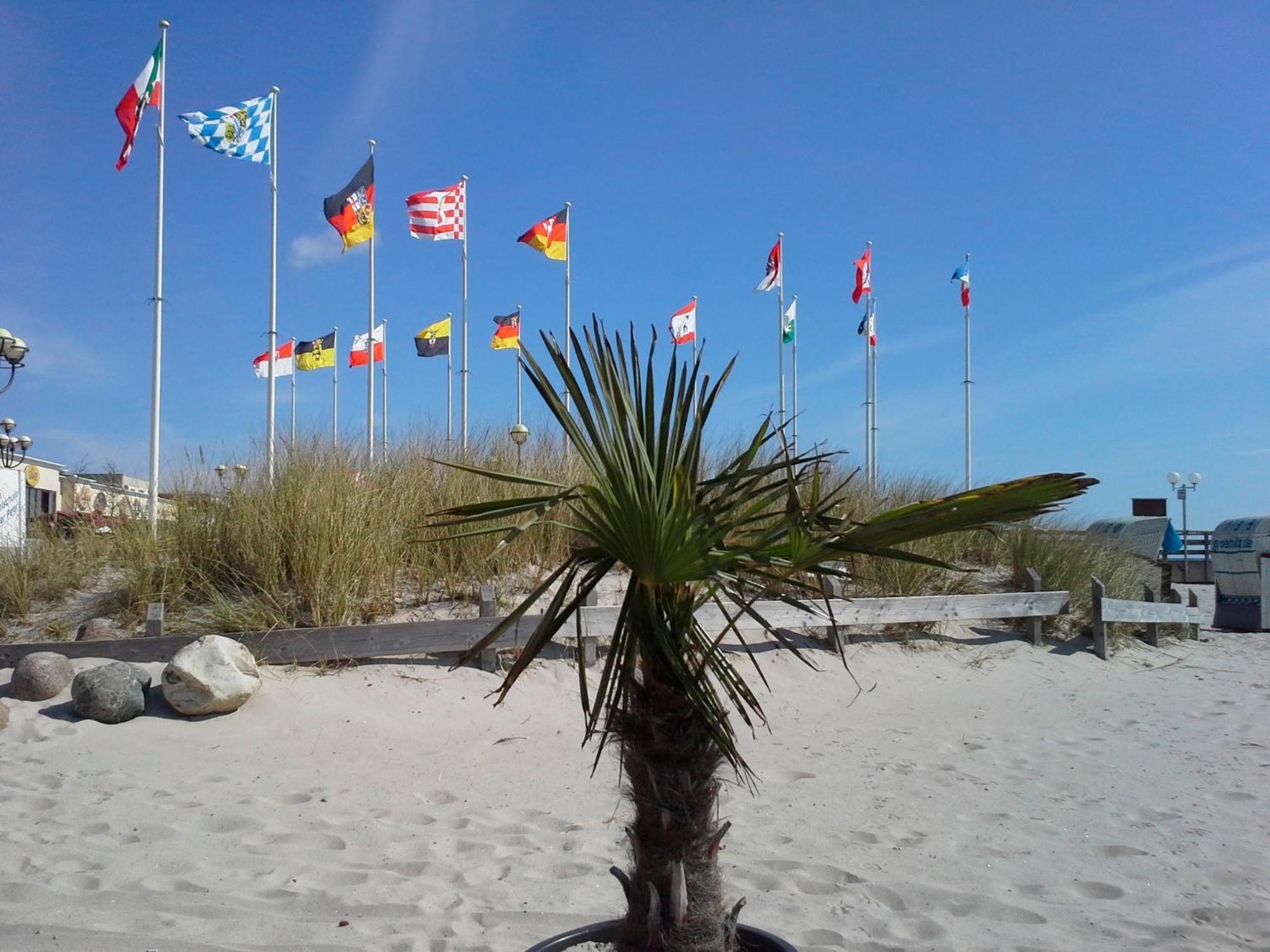 Haus Baltic - Whg 23 - Neu Inkl Saisonstrandkorb! เกรอมิทซ์ ภายนอก รูปภาพ